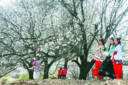 英超直播咪咕 高清赛事